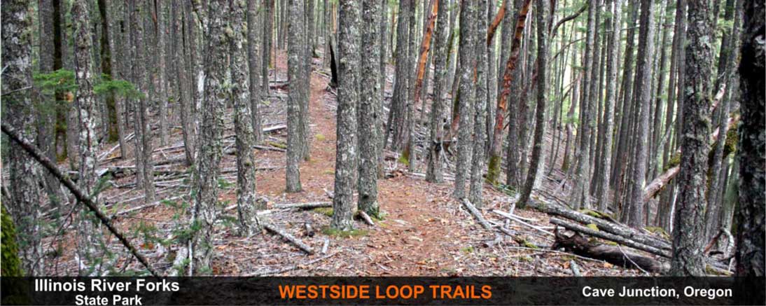 westside-loop-trails-cave-junction-oregon-4
