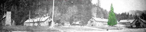 Camp Oregon Caves Civilian Conservation Corps Camp with the heritage tree highlighted in green. Photo taken around 1940. 