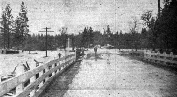1955 photo of flooding seen south of the east fork bridge, Cave Junction, Oregon